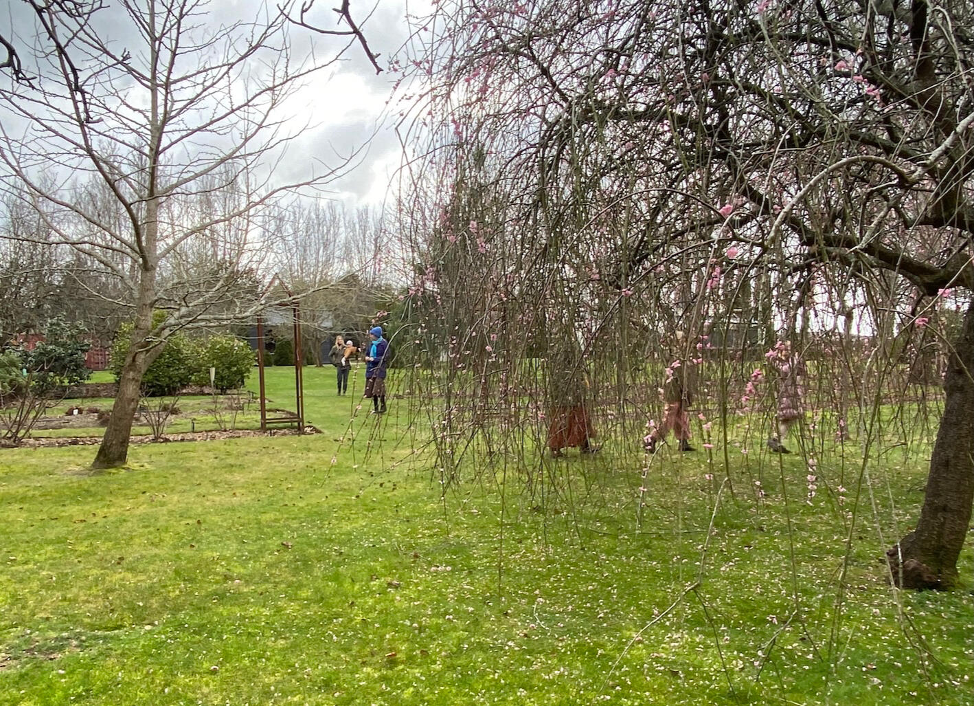 Nature Based Wellbeing Group